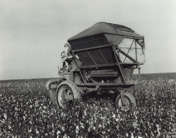 Man operating a McCormick-Deering M-11-H cotton picker in field. Decals and/or stencils are on the machine. The picker is mounted on a Farmall tractor.