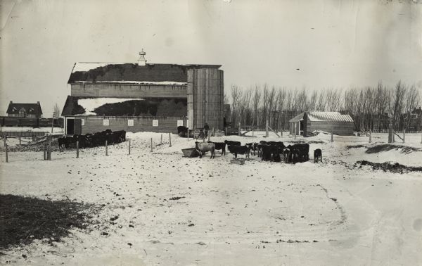 View from field of cattle, barn, and silo at an International Harvester demonstration farm. Original caption reads: "IHC silo 20 feet below ground level and 24 feet above ground." Two people are working near the silo, and a train is going by in the background.
