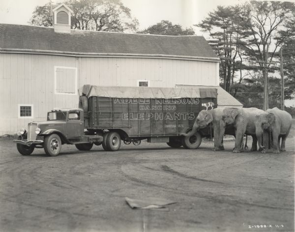 Adele Nelson's Dancing Elephants. Three elephants (one with a dog standing on top of it) stand at the side of an International truck. There is a large barn in the background.