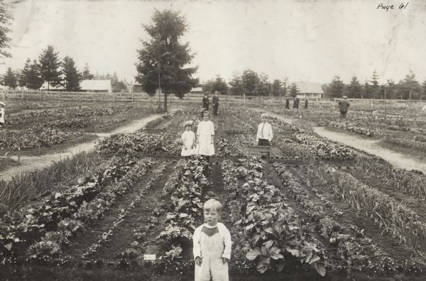 Several children standing in a school garden.