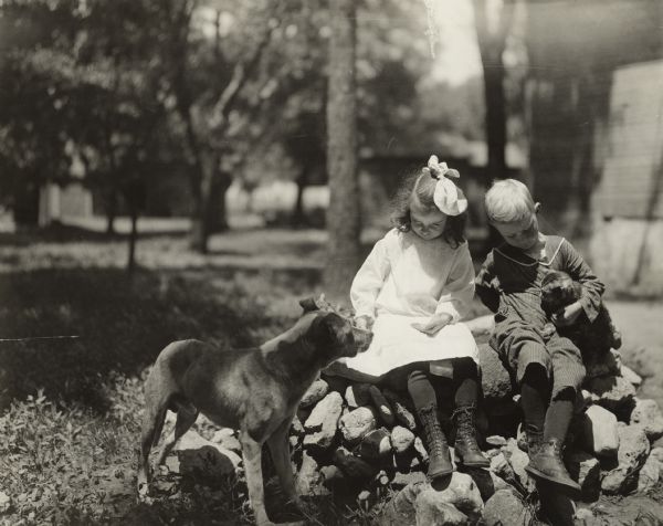 Young boy and girl sitting on a pile of rocks with a cat and a dog outside the Sunnyside School. The boy is cradling a cat under his arm, while a girl is feeding a dog by hand.