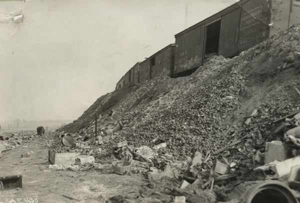 Thousands of potatoes dumped from a freight train along a rail embankment. There is a cow in the background foraging. Original caption reads, "Many thousands of bushels of potatoes and other vegetables were dumped here to rot. Hundreds of bushels of these potatoes could have been saved had they been given to people to pick over."