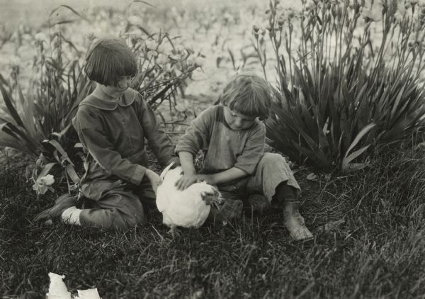 Two children playing with a chicken on a lawn near some flowers. Original caption reads: "Holden Poultry Farm, Mr. Snyder's children playing with chicken."