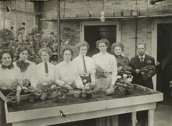 Group of women from the District Agricultural School, and gardener E.E. Harris on the far right. They are standing in a row potting plants at a potting table, in what appears to be a greenhouse. Most of the women are wearing white blouses with a decorative bow or tie at the collar.