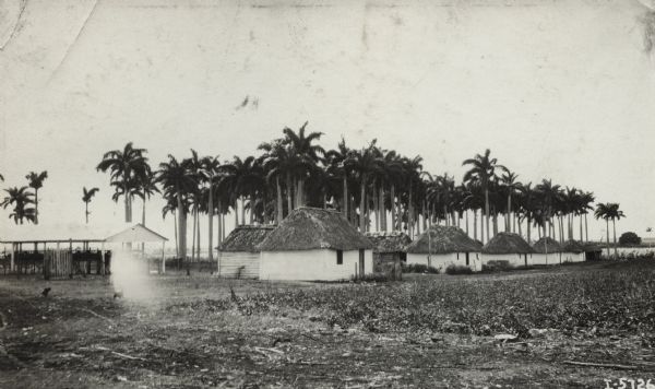 Rows of shacks, possibly company housing, identical in style and size, including thatched roofing. The shacks are likely part of a henequen or sisal plantation, possibly in the Yucatan.