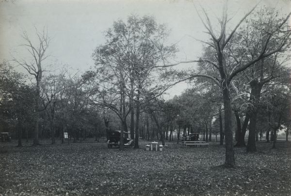 View across lawn of automobiles parked beneath trees at a tourist campground. A group of people are standing near a picnic table.