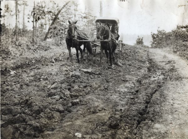 C.C. Hudson guiding two horses in pulling a surrey along a poor stretch of dirt road.