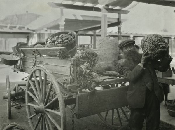 A bearded man wearing a cap holds a gourd while standing next to a horse-drawn wagon under a pergola. The wagon is laden with gourds, kale, burlap bags full of farm produce, and a bushel basket of peppers. The man is probably at an outdoor market.