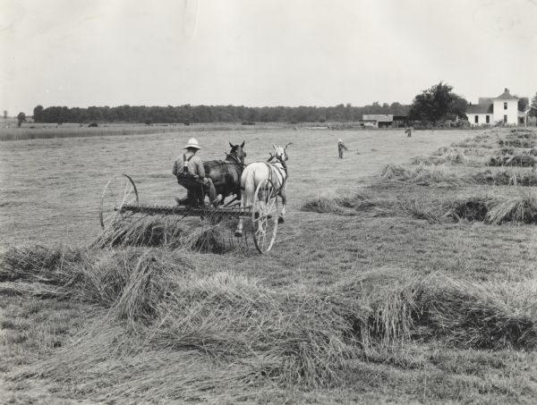 Man with a horse-drawn hay rake in a field. Other field workers gather hay by hand in the background. Original caption reads, "raking heavy timothy hay into windrows using new McCormick-Deering rake owned and operated by Jake Meehling." A farmstead is in the far background on the right.
