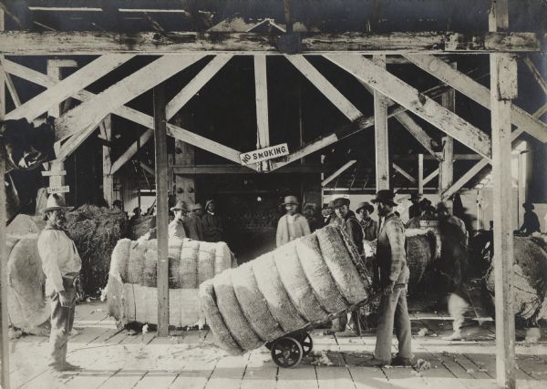 Men transporting large bales of cotton in a warehouse or loading dock.