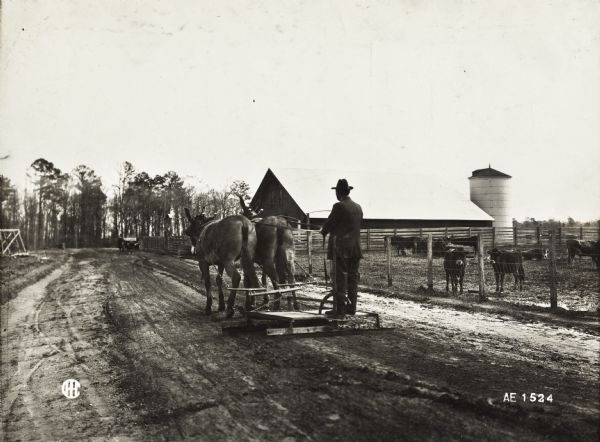 Man standing on a grader pulled by a team of mules along a dirt road. Cows, a fence and farm buildings are in the background.