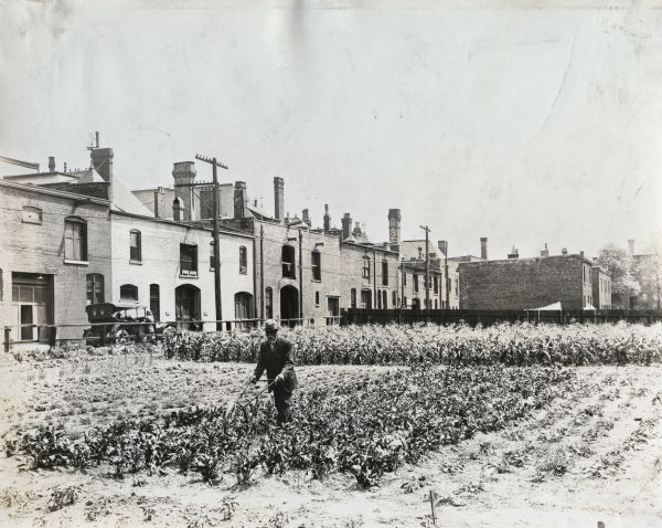 A man is using a garden plow to cultivate an urban garden located near a row of commercial brick buildings.