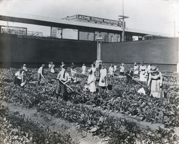 Children and two women, possibly a school group, work with hand tools in an urban garden. An elevated railroad is in the background, along with the Acme Storage Warehouse and a billboard advertising Bullfrog Beer. The location may be a school garden.