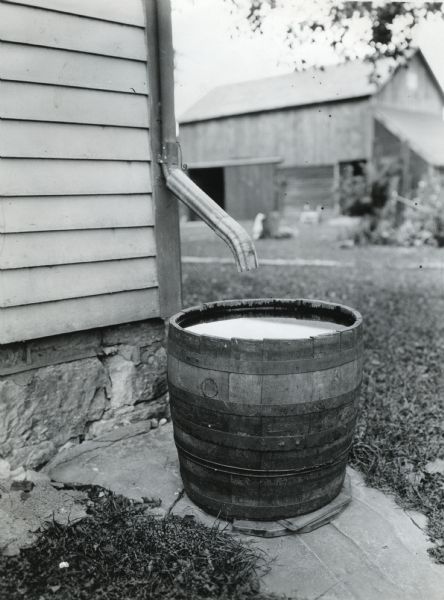 A rain barrel standing beneath a drain spout on a farmhouse. A barn is in the background.