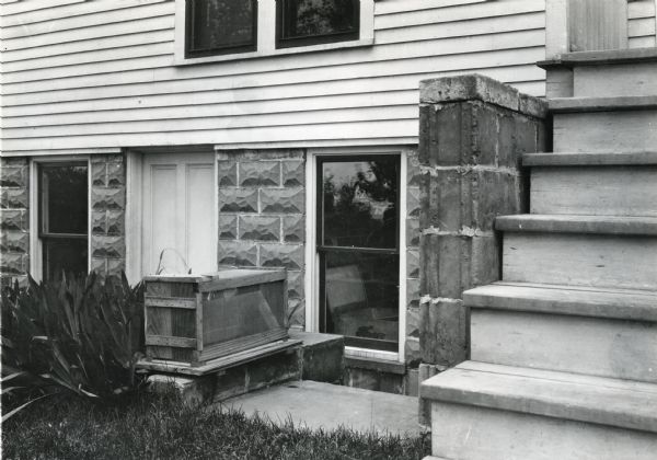 A wooden fly trap standing at the back entrance to the farmhouse of Professor Perry Holden.