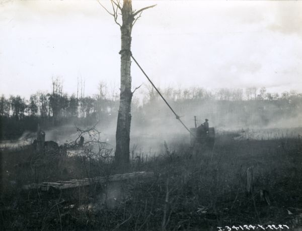 A man uses a tractor and rope to fell a tree in an area that appears to have been cleared by fire.