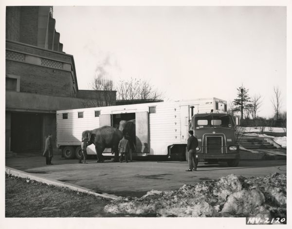 Pollack Brothers Circus personnel supervise elephants as they exit a trailer pulled by an International DCOF-405 semi-truck parked in a loading area near a large brick building.