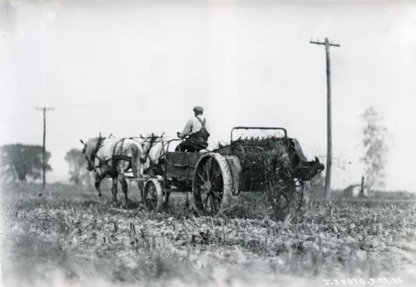 A man operates a two-horse manure spreader in a field.