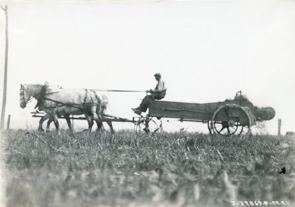 Side view of a man wearing a hat operating a manure spreader pulled by two horses.