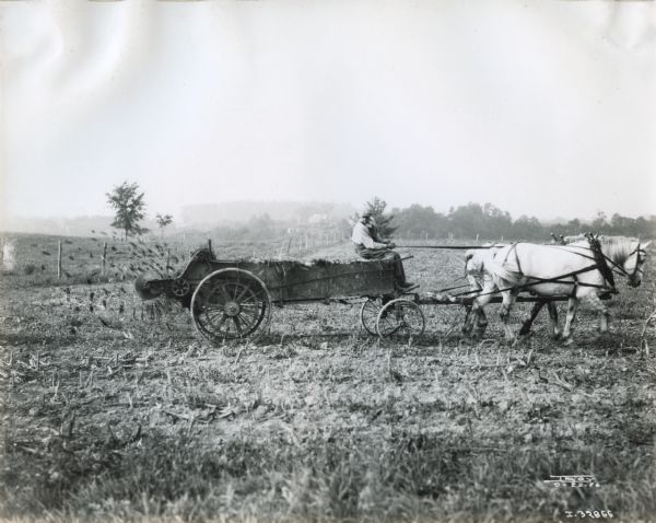 Side view of a man spreading fertilizer in a field with a manure spreader pulled by two horses.