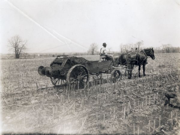 A man operates a manure spreader pulled by two horses in a field. There is a dog standing in the foreground on the right. The original caption reads: "Berney Stuettgerr, Richfield, Wis. R#1."