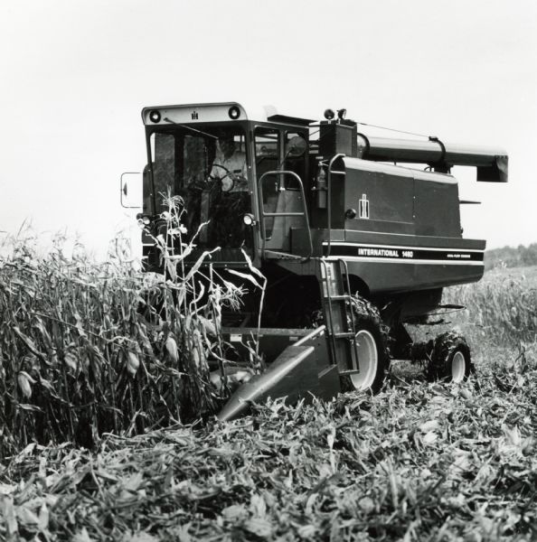 A man uses an International Harvester axial-flow combine in a cornfield.