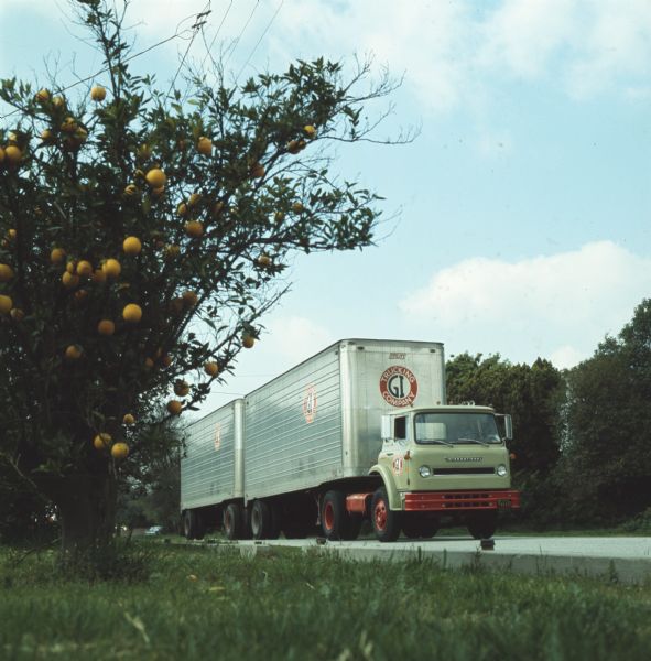 Color photograph of International truck owned by the GI Trucking Company on a highway, passing by what appears to be an orange grove.