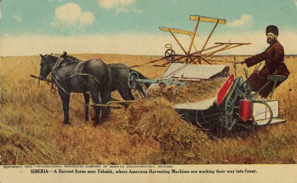 Postcard of horses pulling a grain binder. Man seated on machine. Caption reads "Siberia — A Harvest Scene near Tobolsk, where American Harvesting Machines are working their way into favor."