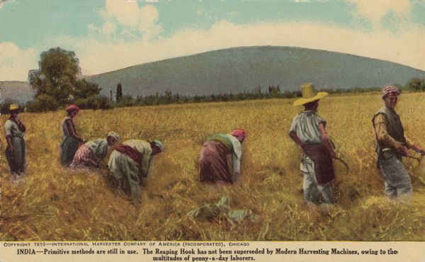 Postcard with a color illustration of men and women working in fields. Original caption: "India — Primitive methods are still in use. The Reaping Hook has not been superseded by Modern Harvesting Machines, owing to the multitudes of penny-a-day laborers."