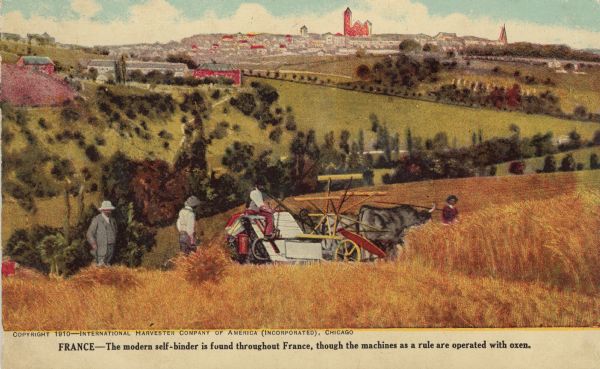 Postcard distributed by International Harvester Company featuring a color illustration of a harvesting scene: a grain binder pulled by ox in the fields of France. Original caption reads: "France — the modern self-binder is found throughout France, though the machines as a rule are operated with oxen."
