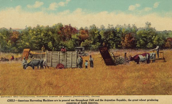 Postcard distributed by International Harvester Company featuring a color illustration of a harvesting scene in Chili. The scene depicts multiple people working in the field, utilizing what appears to be a push binder and cattle-drawn wagons. Also, depicted in the background is an early automobile. Original caption reads: "Chili — American harvesting machines are in general use throughout Chili and the Argentine Republic, the great wheat producing countries of South America."