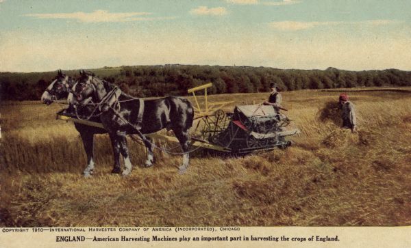 Postcard distributed by International Harvester Company featuring a color illustration of a harvesting scene: two field laborers working in a field in England, utilizing a horse-drawn grain binder. Original caption reads: "England — American harvesting machines play an important part in harvesting the crops of England."