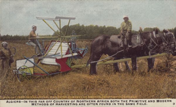 Postcard distributed by International Harvester Company depicting a harvesting scene in Algiers. Includes a color illustration of a horse-drawn grain binder as well as a hand-held sickle. Caption reads: "Algiers — In this far off country of Northern Africa both the primitive and modern methods of harvesting are often found in the same field."