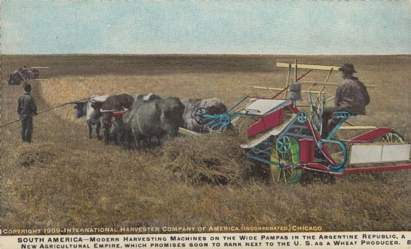 Postcard distributed by International Harvester Company featuring a color illustration of a cattle-drawn grain binder being put to use in South America. Original caption reads: "South America — Modern harvesting machines on the wide Pampas in the Argentine Republic, a new agricultural empire, which promises soon to rank next to the U.S. as a wheat producer."
