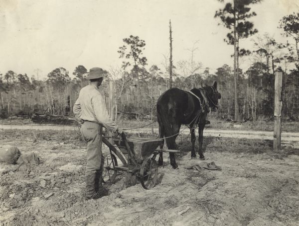 Man using a walking fertilizer in a field. Original caption reads: "This man is distributing cotton seed fertilizer on a field on which only the week before he had carefully raked up all of the corn stalks and burned them, not realizing their value as fertilizer."