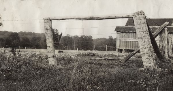 Fence with farm buildings and open fields in the background. The corner post of the fence is leaning inward. Original caption reads: "This shows wrong way of bracing corner posts; is fully 10" square, but leaning badly. The brace wire should have been placed around the bottom of corner posts."