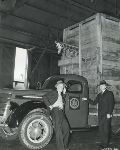 Two men stand beside an International D-40 truck used to transport a pair of giraffes from New York to the San Diego Zoo. The giraffes are contained within tall wooden crates.