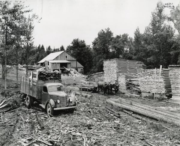 Lumber is loaded onto the bed of an International D-30 truck parked at a lumber mill. A team of oxen pulling a load of timber stands near piles of cut lumber. In the background a horse stands in front of a barn. The location was somewhere in Quebec, Canada.