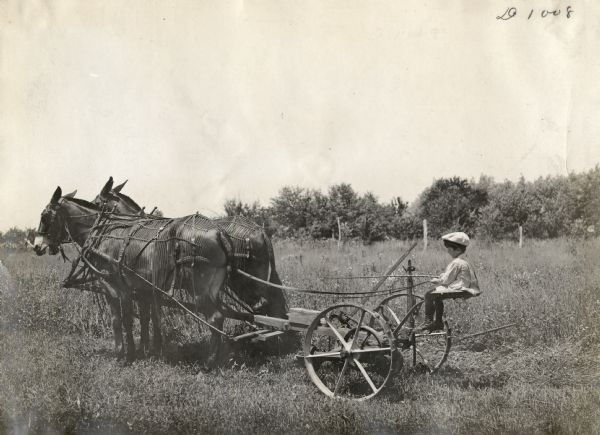 A young child is sitting on what appears to be a horse-drawn mower in a field. The horses are wearing fly-nets and blinders.