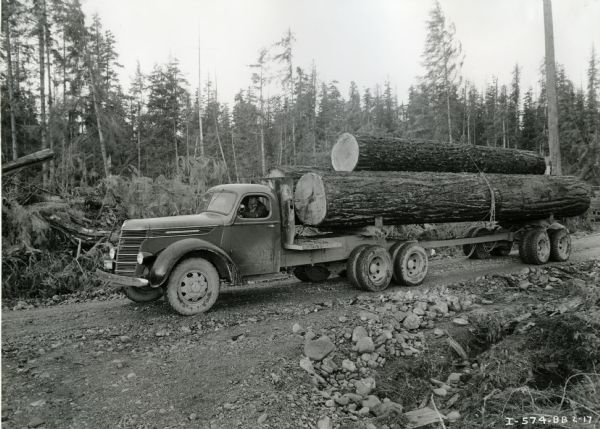 A man is sitting behind the wheel of an International D-246-F logging truck owned by the Eatonville Transfer Company. Several logs are secured onto the truck bed with chains.