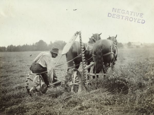 Man operating a horse-drawn mower in a field. The man is reaching down and holding onto a lever, and the cutting blade is up in a vertical position.