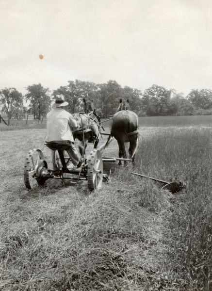 Rear view of a man operating a horse-drawn mower in a field.