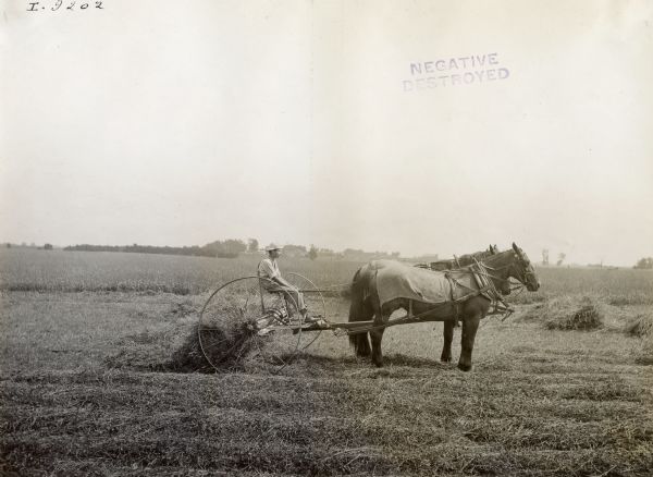 Side view of a young boy driving a team of horses pulling a hay rake in a field.