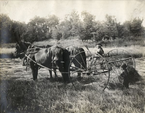 One barefoot child is sitting on a hay rake behind two horses. The other child is standing directly behind the hay rake which is in a field.