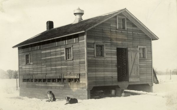 Small wooden farm building with two dogs sitting in front. There appears to be corn stacked inside. The ground is covered in snow.