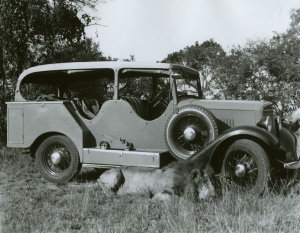 Side view of an International C-1 truck owned by Donald Ker, a professional big game hunter, of Nairobi, Kenya, Africa. A slain lion rests on the ground in front of the truck.