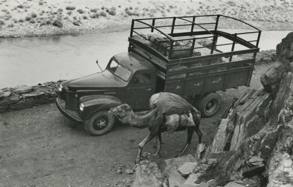 View from side of hill looking down at an International truck and a camel on a narrow mountain road in Afghanistan. A river runs along the road in the background. The original caption reads: "From Peshawar over the Khyber Pass and into Kabul, Afghanistan, this International motor truck is one of a large fleet that operates through this historic country. The camel, a symbol of yesterday's transportation, plods slowly as the truck passes by."