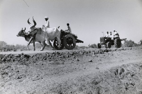 Men follow an oxcart with an International Harvester tractor in India.