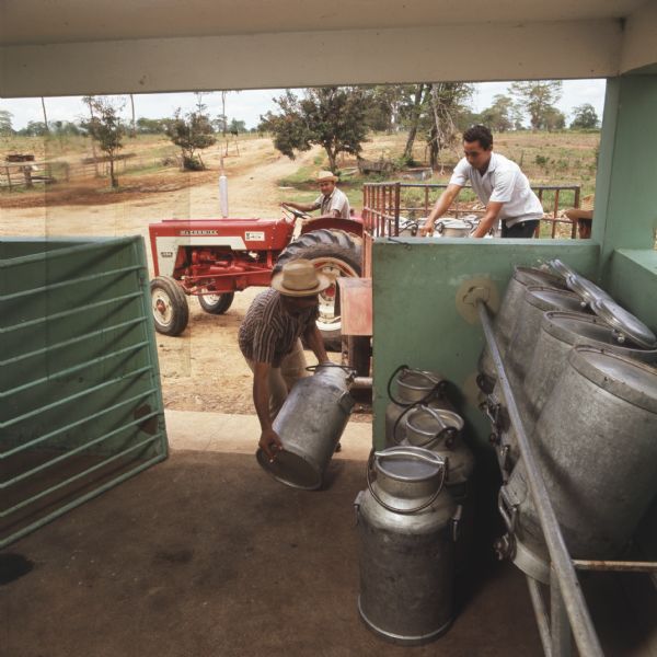 View from inside a building of two men loading milk pails onto a wagon while a man seated on a McCormick 434 tractor looks on.