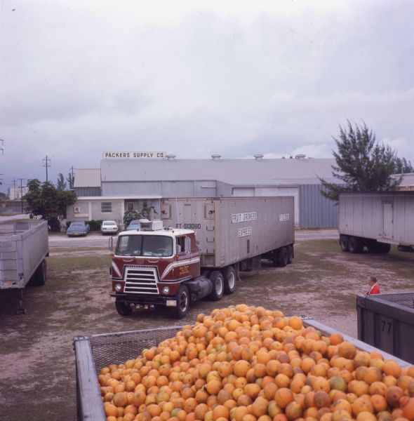 View of a red and white International Harvester Loadstar COE truck at the Packers Supply Company. The side of the truck reads "James Chester, 461-0725, Fort Pierce Fla" and the words "Fruit Growers Express" can be seen on the side of the trailer. Packers Supply Company is a large metal building with a loading dock. In the foreground the back of a trailer full is piled with oranges.